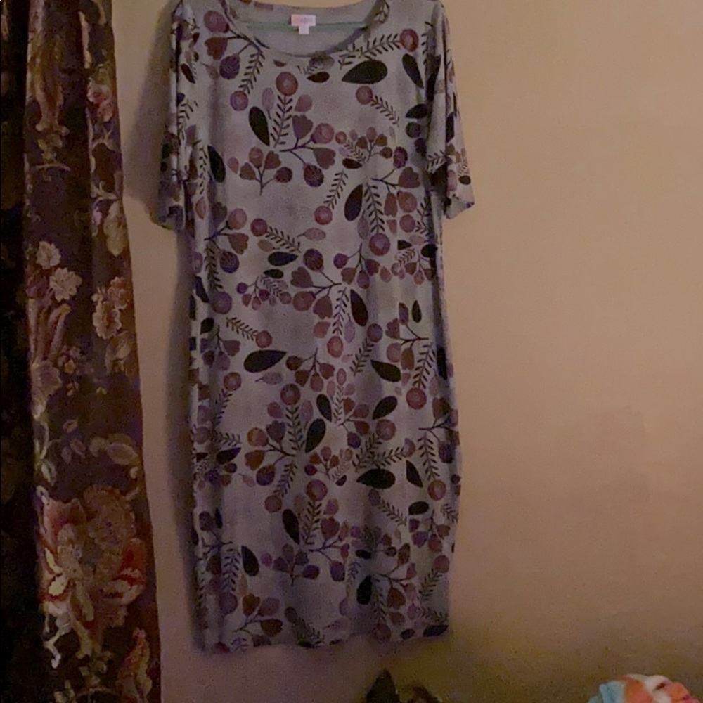 Lularoe Julia 2XL
